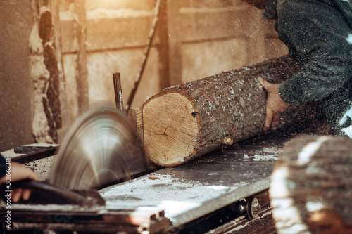 Carpenter cuts wooden board on circular saw.