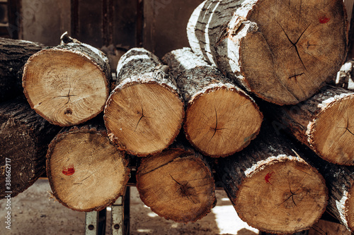 Wooden natural sawn logs as background, top view, flat lay