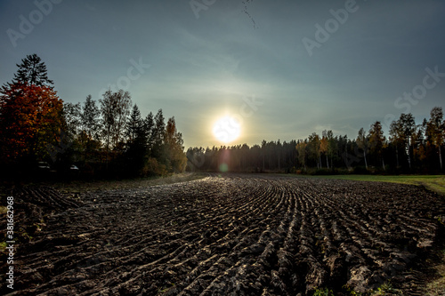 Autumn, rural landscape, plowed field and forest edge, at sunset. The sun's rays hit the lens
