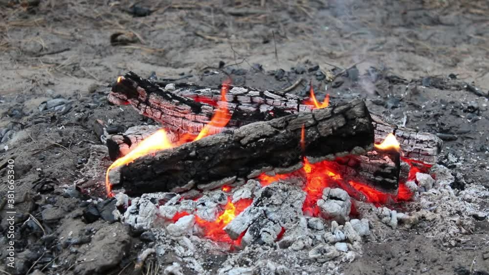 Bonfire in the forest in nature. Flame, fire and sparks. Bonfire in the forest in nature. Flame, fire and sparks.
