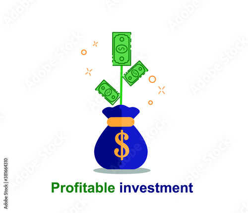 profitable investment, finance concept, money icon