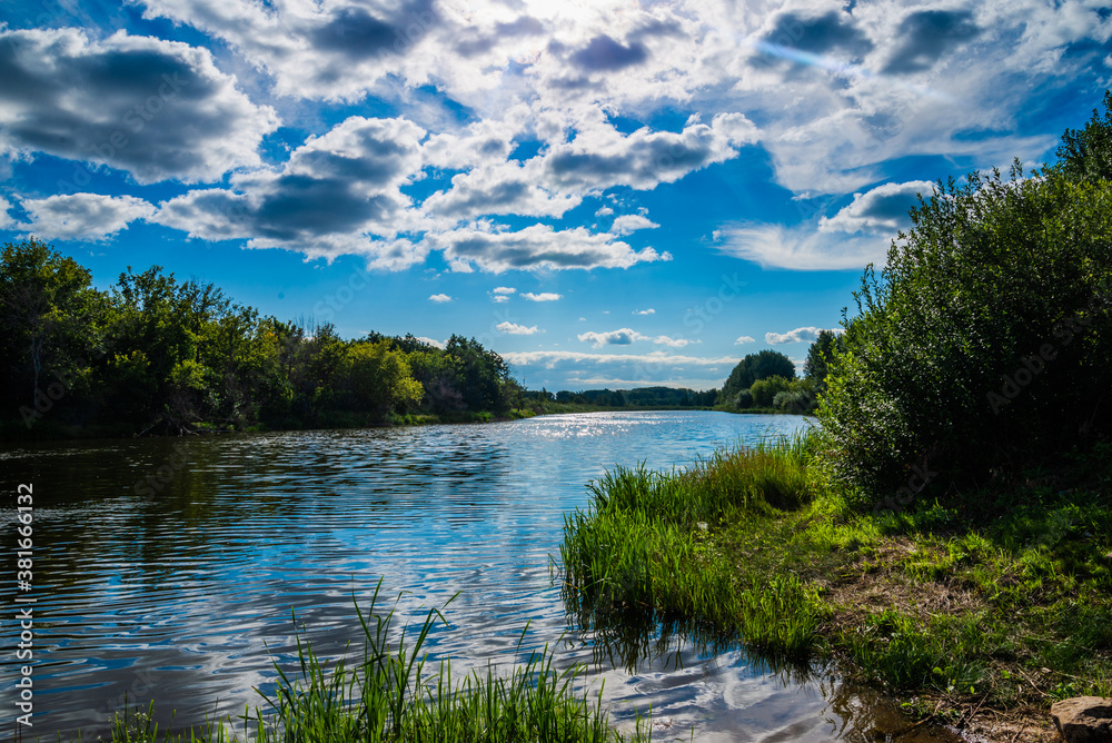 Fototapeta premium lake in the forest
