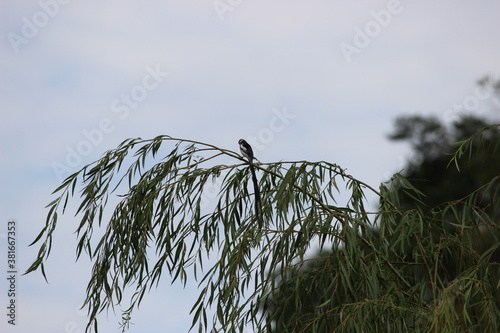 Photo taken in Olifants River Logde, Middelburg photo