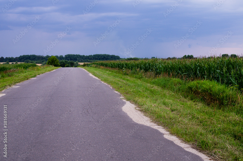 Empty asphalt road in the countryside in Russia