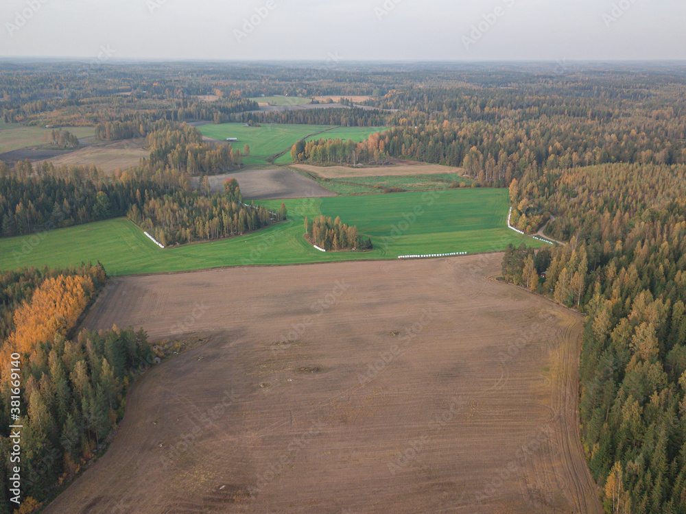 Autumn, rural landscape, plowed field and forests, drone photo