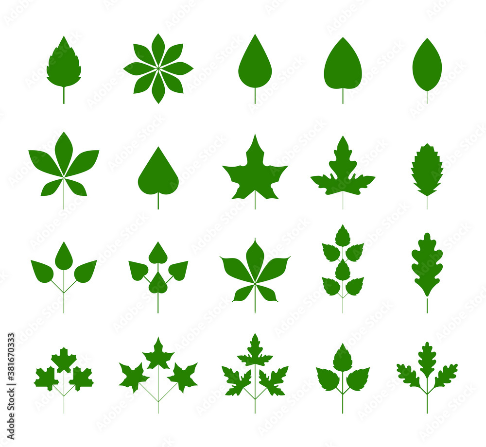 Green leaf icons set on white background. Autumn leaves set. Elements for eco and bio logos. Leaves icon vector set isolated on white background. Design elements. Green leaf icons set on white background. Autumn leaves set. Elements for eco and bio logos. Leaves icon vector set isolated on white background. Design elements.