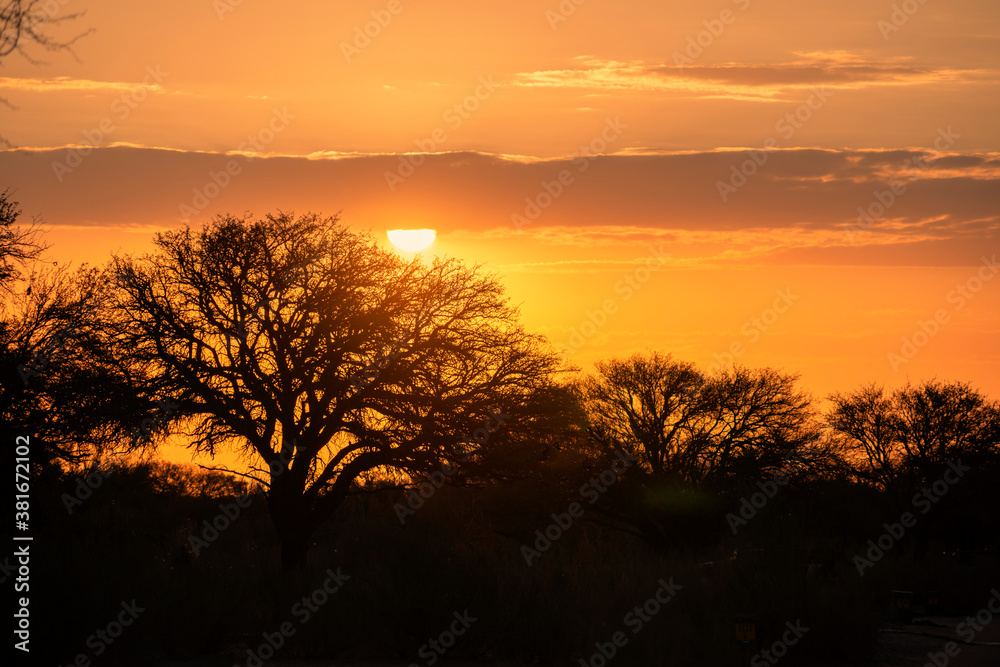African savannah sunset