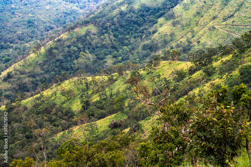 Textures of Nature, a mountain view from kinnakkarai, Ooty 