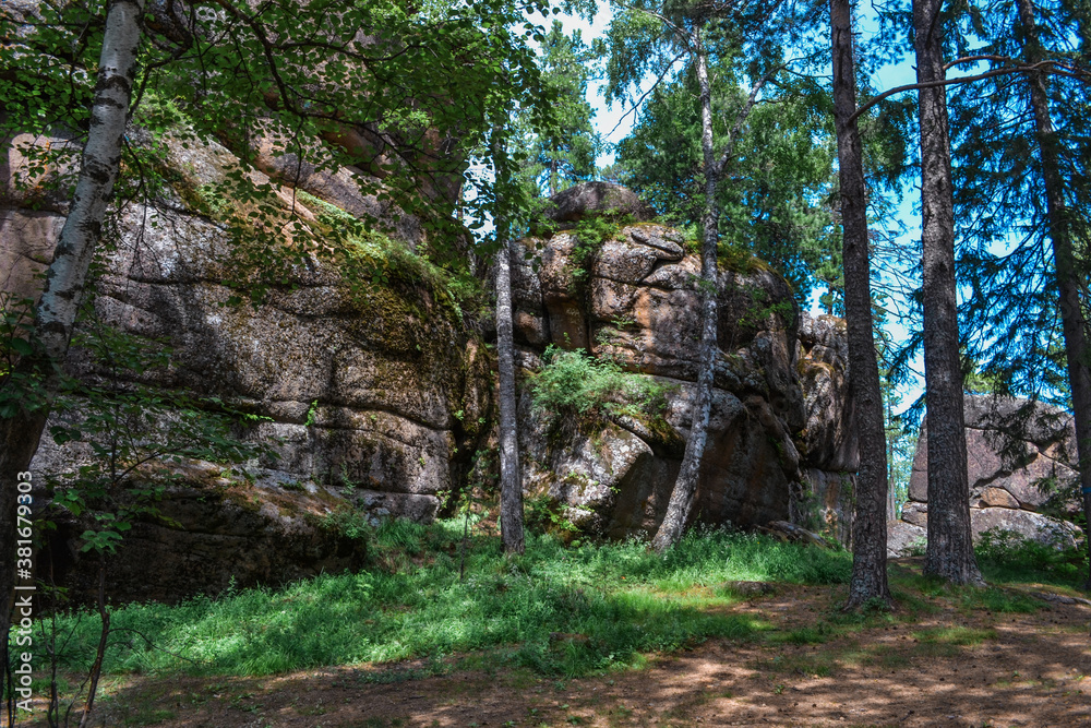 large geometric stone red rocks overgrown with light green yellow moss in light of sun with shadows, cliff forest between trees trunks. Krasnoyarsk pillars, nature park in Siberia