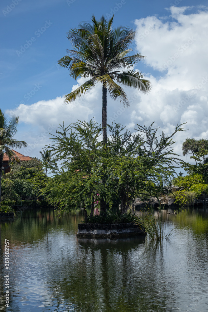 Palm tree in the middle of the pond. Beautiful tropical landscape. Water reflection. Natural background. Blue sky with white clouds. Vertical layout. Bali