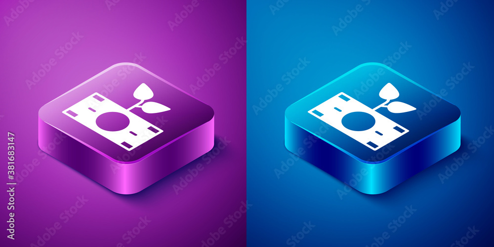 Isometric Money plant in the pot icon isolated on blue and purple background. Business investment growth concept. Money savings and investment. Square button. Vector. Isometric Money plant in the pot icon isolated on blue and purple background. Business investment growth concept. Money savings and investment. Square button. Vector.