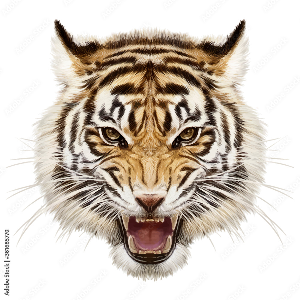 Tiger head animal wildlife hand draw and paint on white background vector  illustration. Stock Vector | Adobe Stock