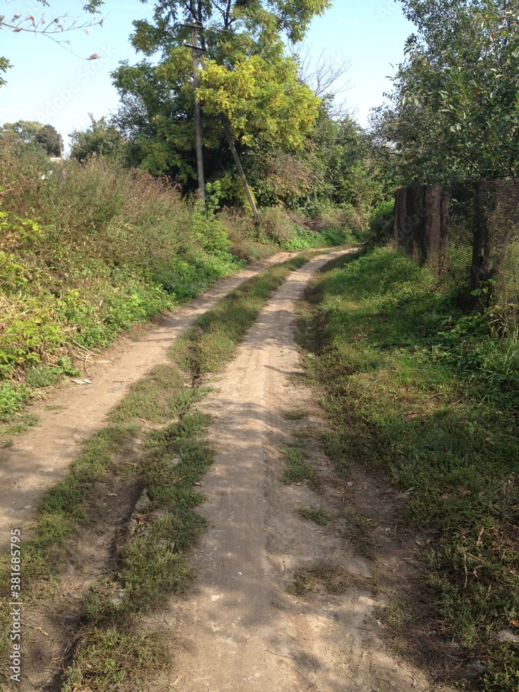 road, forest, nature, path, landscape, tree, trees, green, grass, rural, sky, summer, trail, woods, footpath, country, countryside, way, track, wood, spring, park, hiking, dirt, blue