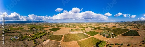 Aerial view  agriculture with olives and fields around santa Eugenia and Santa Maria  center of the island  Mallorca  Balearic Islands  Spain