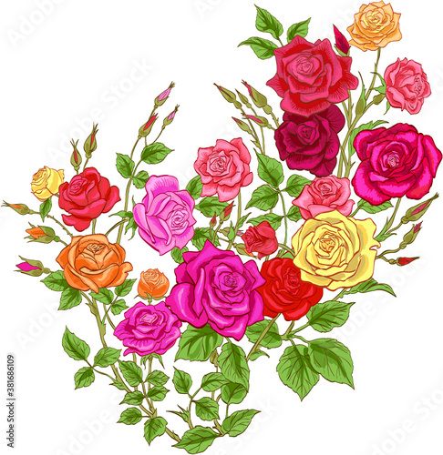 Colorful flowers.Vector roses