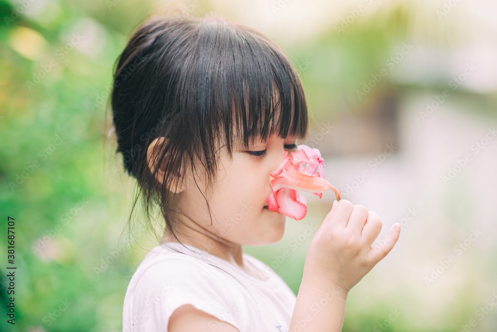 Smell sensory learning from flower. Cute Asian kid exploring natural environment through outdoor activity like play, touch and see the real things is the best method for education in children. Smell sensory learning from flower. Cute Asian kid exploring natural environment through outdoor activity like play, touch and see the real things is the best method for education in children.
