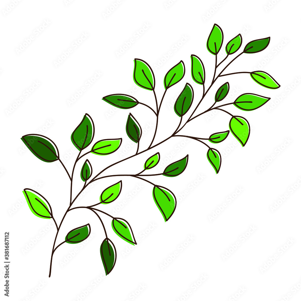 Vector of a birch tree branch. Hand drawn leaves and branch isolated on white. Doodle birch leaves for design. Vector illustration. Botanical print. Organic natural shape