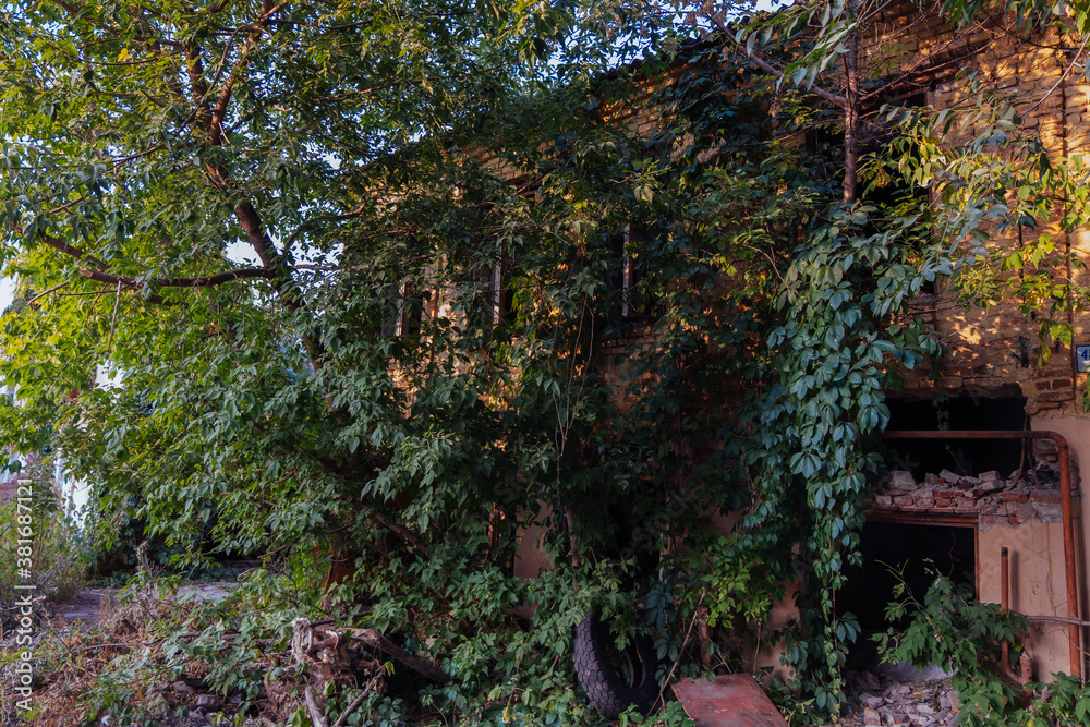 Old abandoned overgrown houses in ghost town Old abandoned overgrown houses in ghost town