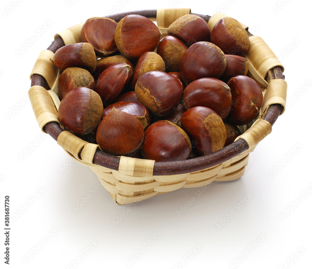 chestnuts in the basque chestnut basket isolatd on white background chestnuts in the basque chestnut basket isolatd on white background