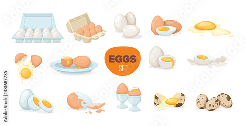 Fresh and boiled eggs. Chicken, quail broken eggs with cracked eggshell and yolks, in cardboard box, egg half with yolk, boiled and fried. Cooking ingredient. Healthy organic food farm product