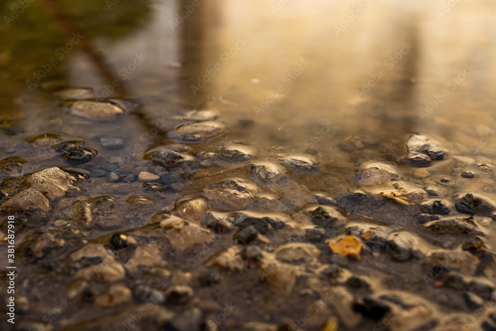 Fototapeta premium Puddle on asphalt