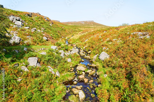 Bild auf Leinwand Burbage Brook trickles down a narrow valley on a misty Derbyshire morning