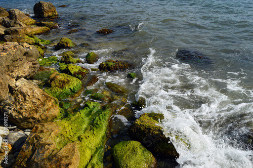 rocks in the sea