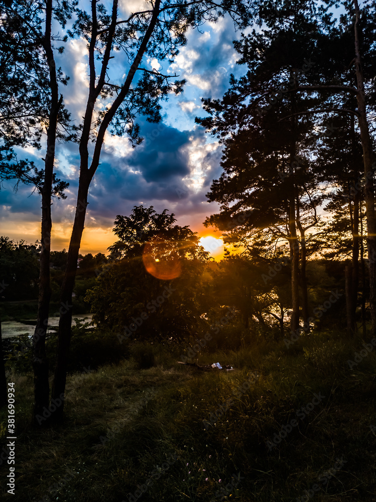 Fototapeta premium sunset in the forest