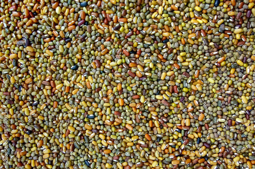 Mixture of colourful pulses © Sachin