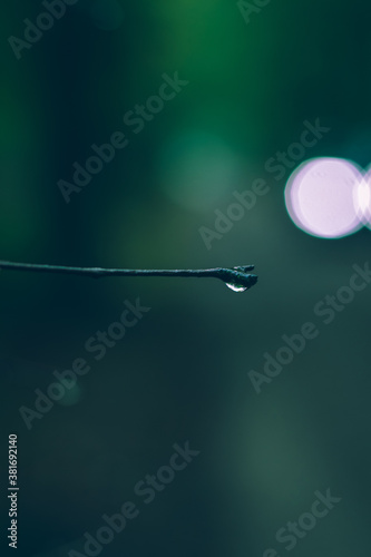 drop of water © Piotr