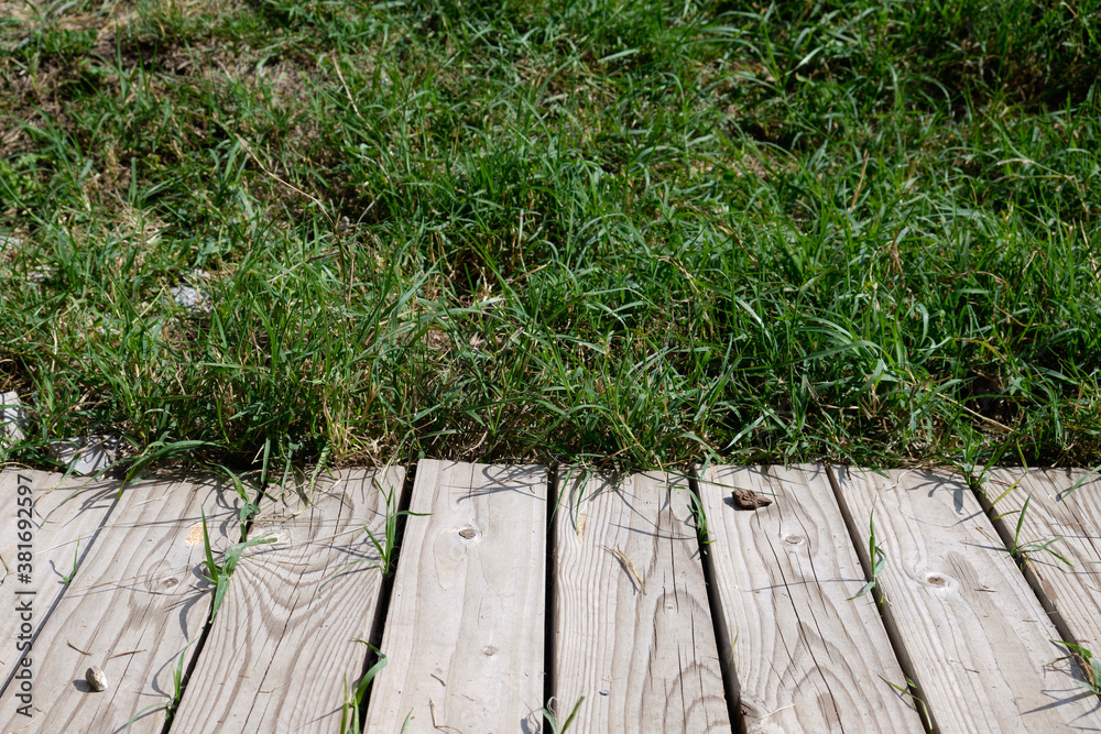 wood planks on green grass wood planks on green grass