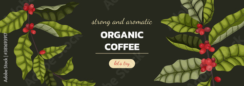 Vector illustration concept of advertising coffee with branches and coffee berries in cartoon style. A horizontal banner on a brown background for mail and website