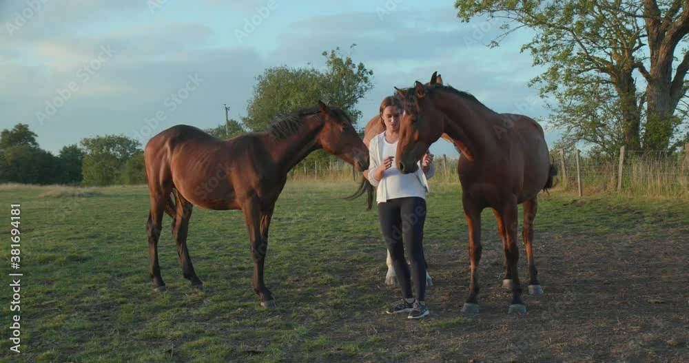 Brunette female with horses in field 4k Brunette female with horses in field 4k