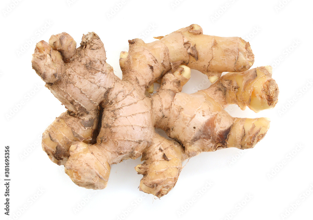 Gingers in flavoring cooking Gingers in flavoring cooking
