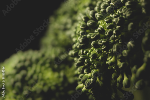 Organic Broccoli Macro close up © Arturo Verea