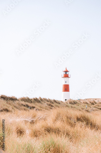 lighthouse in the yellow grass by the sea