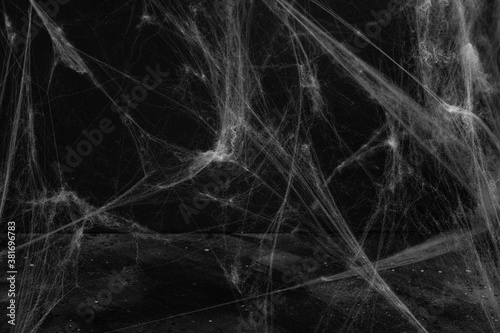 Spider web over black background. Halloween concept.