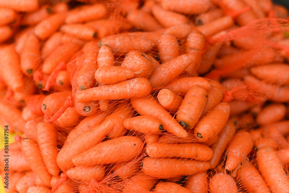 Bunch or heap of fresh organic raw carrots in plastic net mesh bags on a table for sale in Tamil Nadu India. Fresh vegetables from home garden farm. Bunch or heap of fresh organic raw carrots in plastic net mesh bags on a table for sale in Tamil Nadu India. Fresh vegetables from home garden farm.