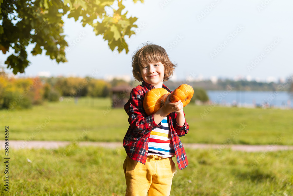 Cute boy play with pumpkin in autumn park on Halloween. Kids trick or treat. Fun in fall. Dressed up child Cute boy play with pumpkin in autumn park on Halloween. Kids trick or treat. Fun in fall. Dressed up child