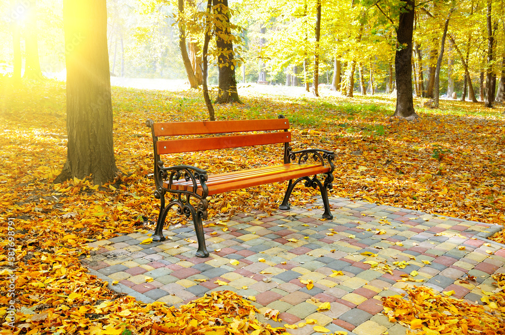 Autumn park, garden bench and bright sunset.