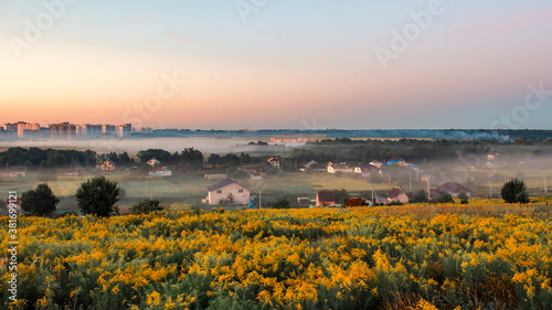 View of the outskirts of Oryol in the morning at dawn in the fog, bright yellow Solidago canadensis in the foreground, small houses, fields, vegetable gardens. Russian provincial landscape. 