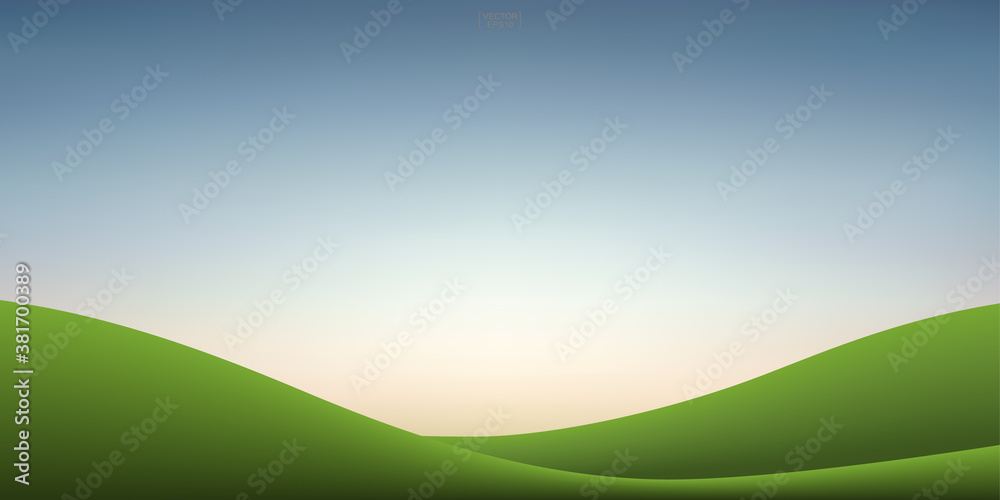 Green grass hill and sunset sky background. Outdoor natural background for template design. Vector.