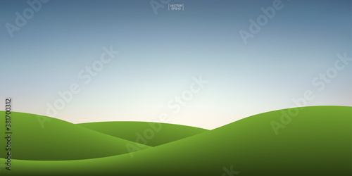 Green grass hill and sunset sky background. Outdoor natural background for template design. Vector.
