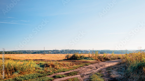 A wheat field in autumn, a country road and villages in the distance. Russian province, rural landscape.