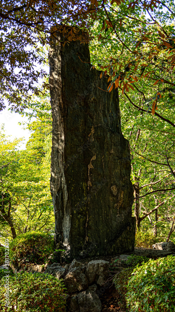 Fototapeta premium ruins in the forest
