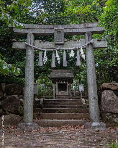 torii in Japan 