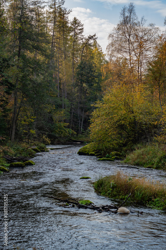 Autumn landscape with a river.Bright autumn nature.
