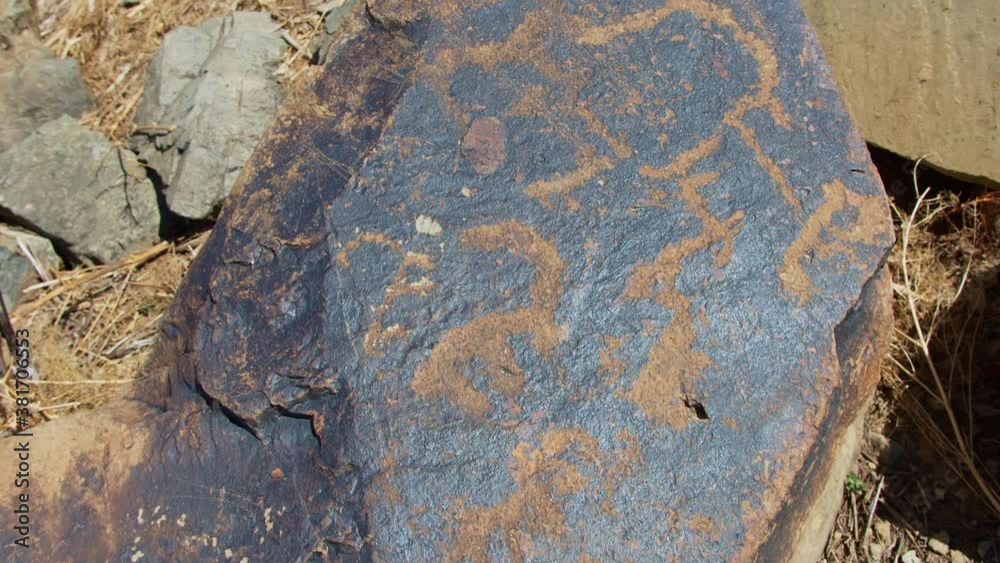 Neolithic ancient carvings (drawing) on black stone. Deer and mountain sheep carvings. Petroglyphs in Central Asia, Uzbekistan Chimgan mountain behind. Slowmo 2 of 26 Neolithic ancient carvings (drawing) on black stone. Deer and mountain sheep carvings. Petroglyphs in Central Asia, Uzbekistan Chimgan mountain behind. Slowmo 2 of 26