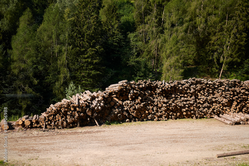 Pile of wood near the railway
