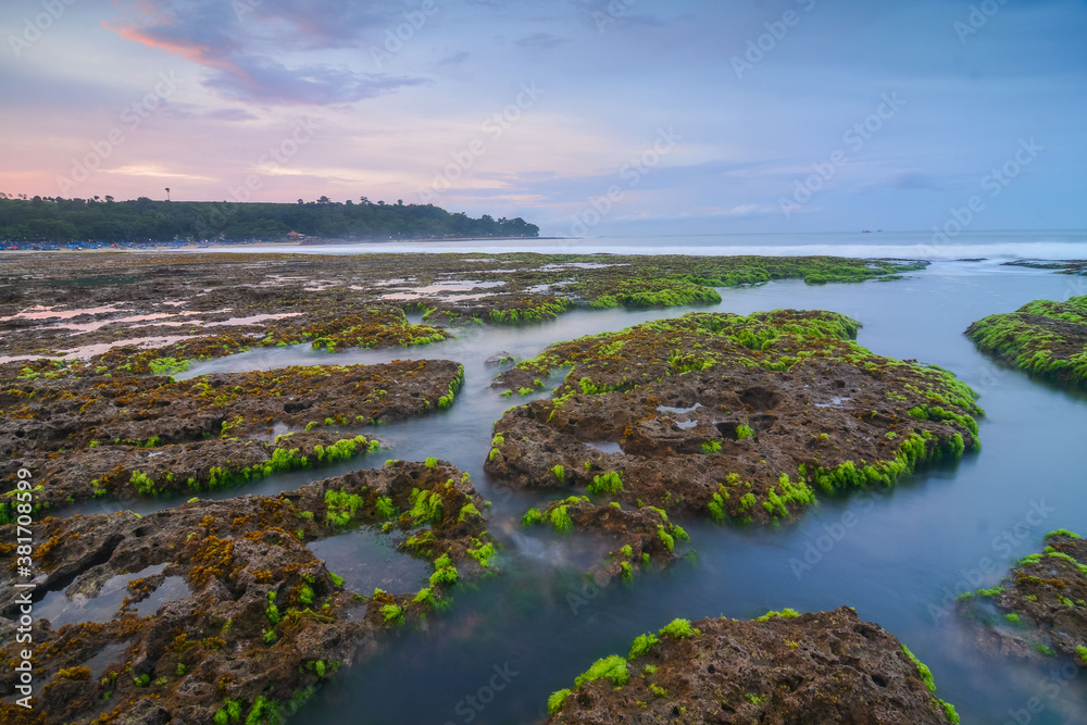 Sunset on the beach. Green moss on the rock. Water motion on the beach. 